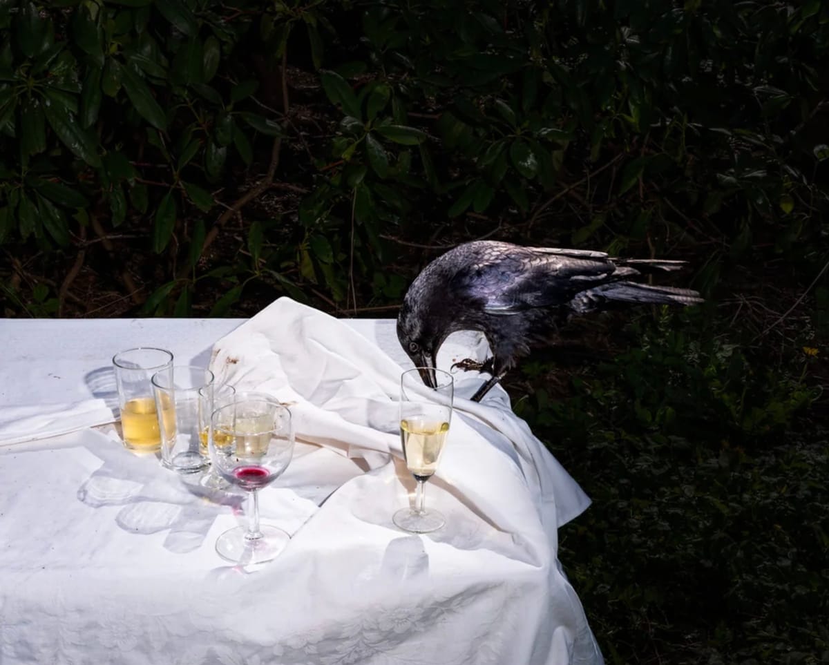 Blue Cheese Windows and Maximalist Parties🪟